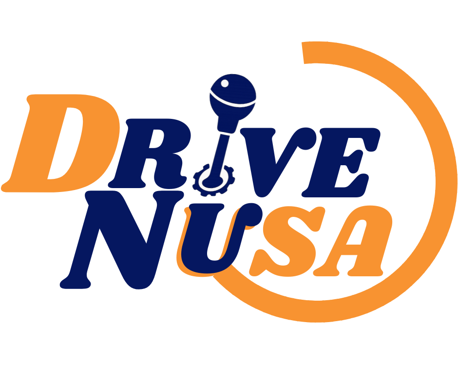 Logo DriveNusa