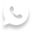 Icon Whatsapp